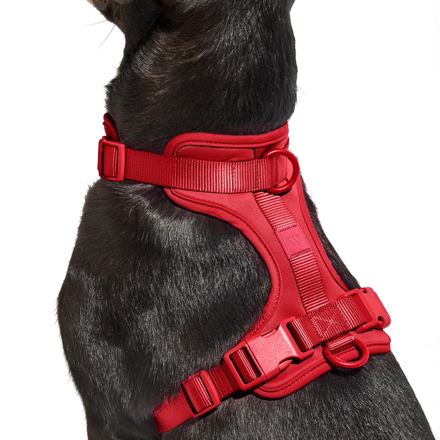 ModernVet Wild One Harness M Strawberry